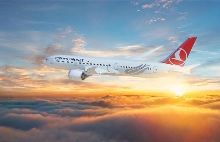 Tam  208 Bin 896 TL... THY bu paraya nereye götürüyor?