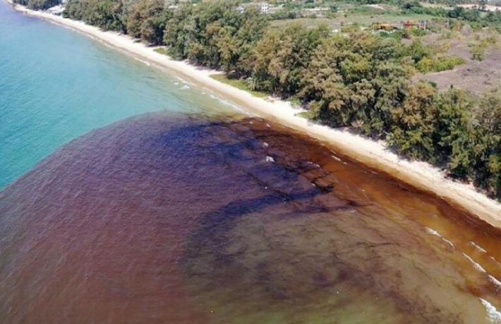 Turizm cenneti petrol sızıntısıyla kirlendi... Afet bölgesi ilan edildi