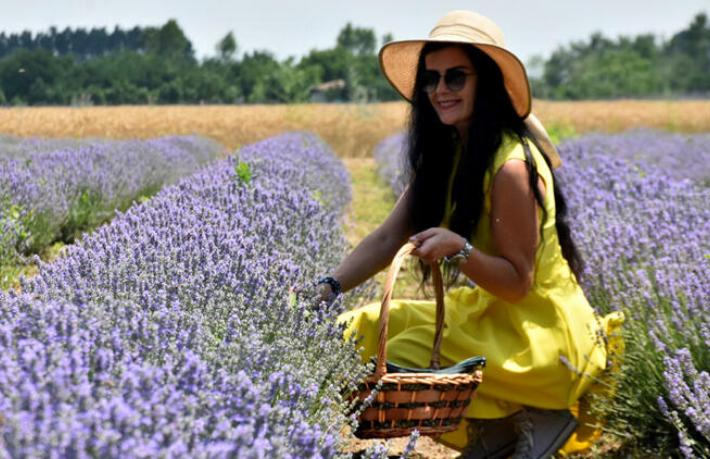 Otellerde yer kalmadı... Edirne turizmine lavanta dopingi
