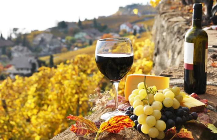 İspanya'ya şarap turizminden 160 Milyon Avro  gelir