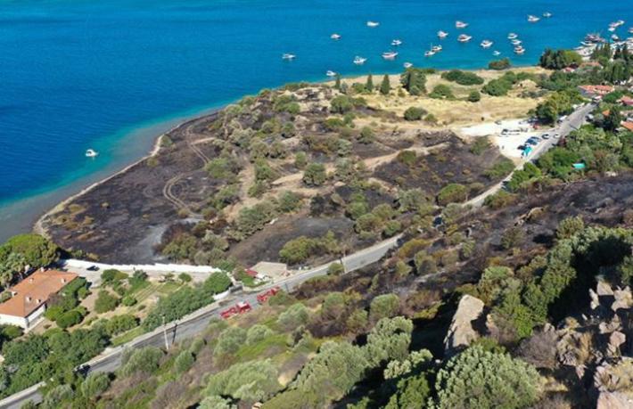 Turizm Bakanlığı’nın ormanları turizm yatırımcılarına açmasına tepki