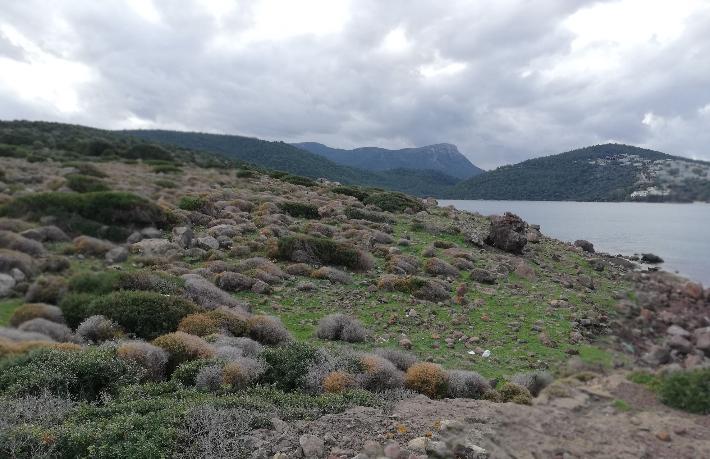 Cengiz İnşaat’tan Cennet Koyu açıklaması: Danıştay kararı bizi etkilemiyor