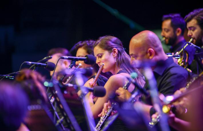 Limak Filarmoni Orkestrası, sokak hayvanları için çalacak