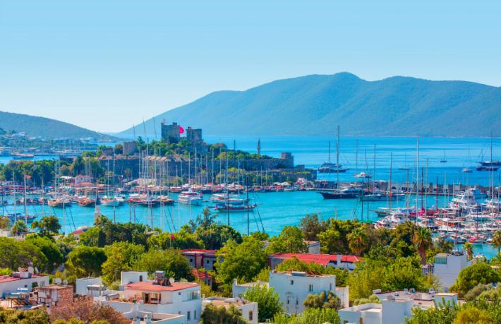 Bodrum'daki dev araziyi hangi otel zinciri satın aldı?