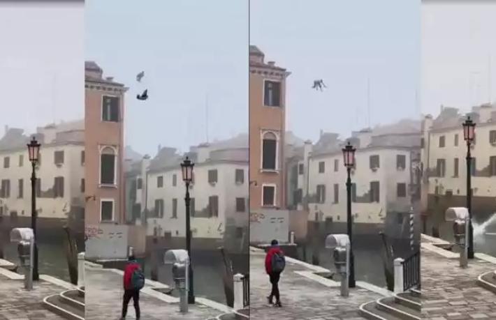 Venedik’te kanala atlayan turiste 'Aptallık sertifikası' verilecek