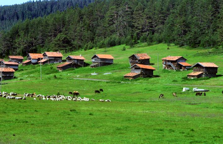 Karadeniz yaylaları ve kanyonlarını Jolly ile keşfedin