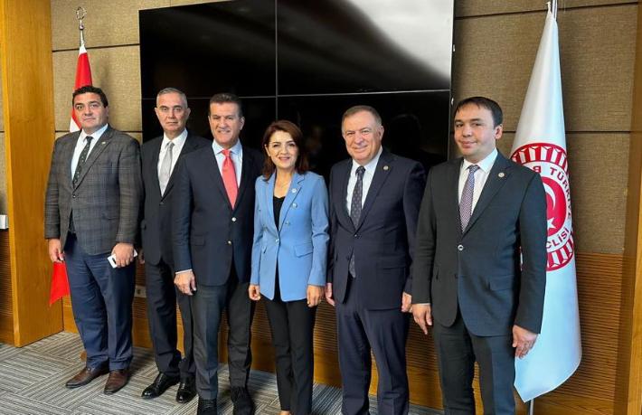 Sururi Çorabatır’ın TBMM’de görevi belli oldu