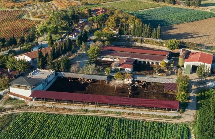 Turizmci Tonbul Ailesi’nin ürettiği zeytinyağları, dünyanın en iyileri arasında