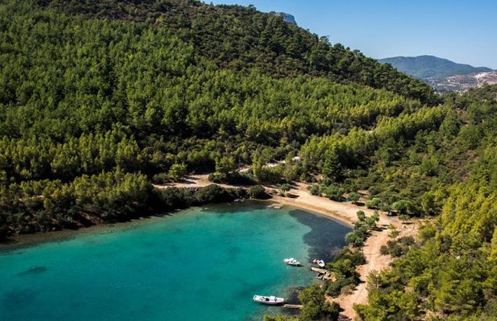 Bodrum Cennet Koyu’nda neler oluyor?
