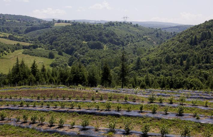 Sanayi kenti Düzce, artık ekoturizme odaklanacak