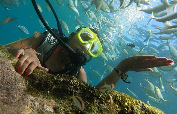 Antalya'da dalış turizminde hedefler tutmadı