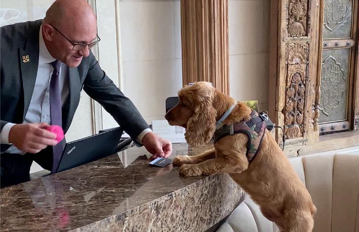 The Ritz-Carlton, Istanbul’dan patili dostlar için özel odalar