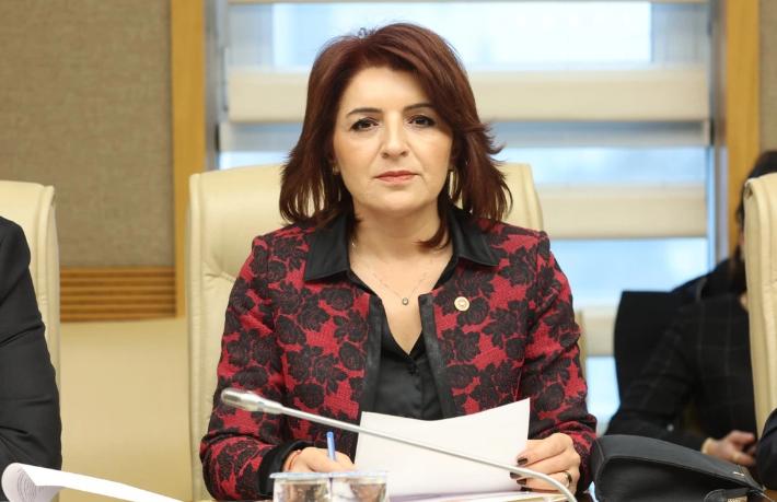 Gülcan Kış: Rehberlerin mesleği yok ediliyor