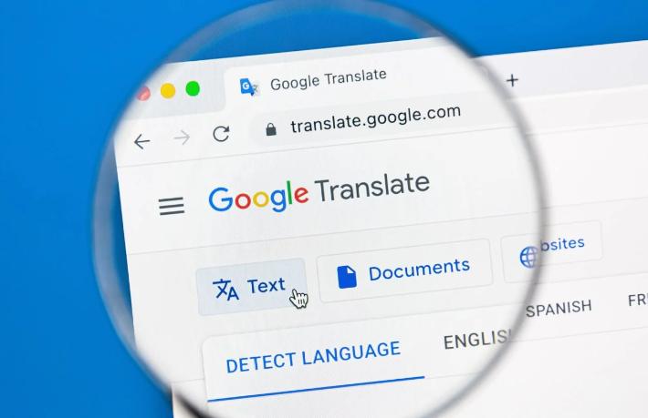 Rehberlik sorununu google translate ile mi çözecekler?