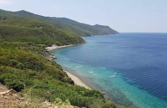 Deniz kıyısındaki ormanlık alanlar turizme açıldı