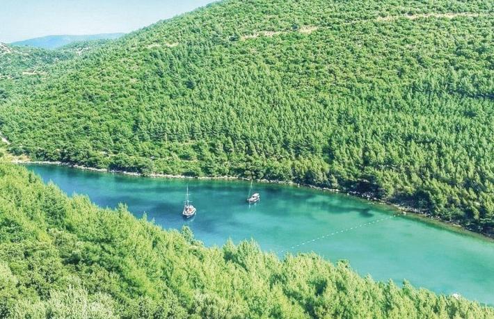 Cennet Koyu'ndaki dev yat projesi durduruldu