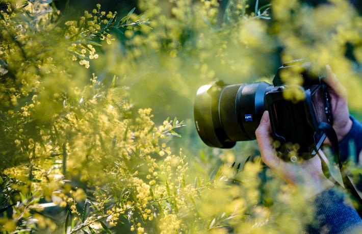 Askeri üssün fotoğrafını çeken 4 turist tutuklandı