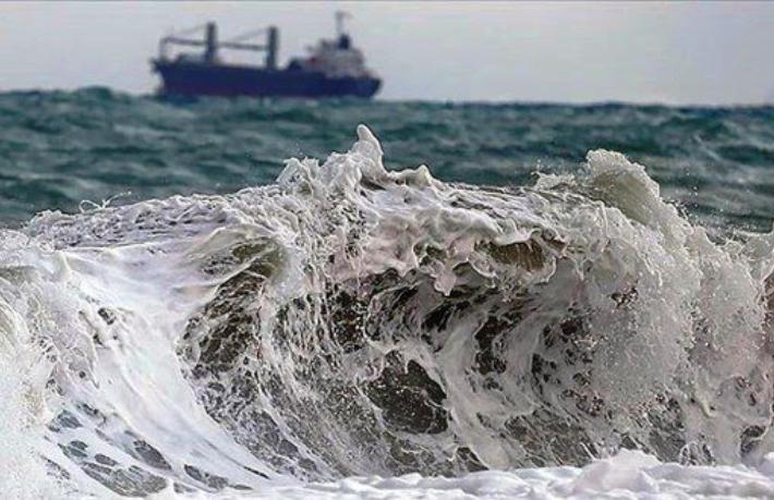 Tsunamiden korkan gemi, getirdiği turistleri almadan kaçtı