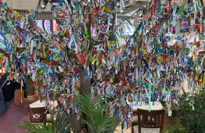 Antalya Havalimanı'ndaki dilek ağacına turistlerden büyük ilgi