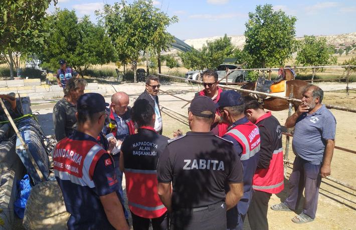 Kapadokya Alan Başkanlığı kaçak at çiftliklerine göz açtırmıyor