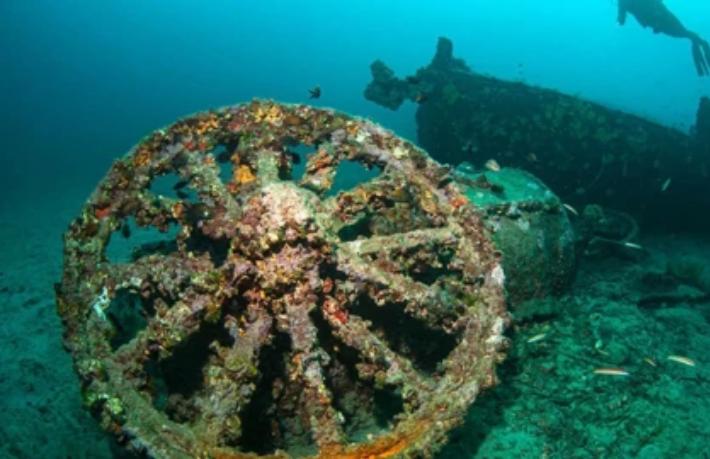Tarihi Sualtı Parkı, dalış turizminin merkezi olacak