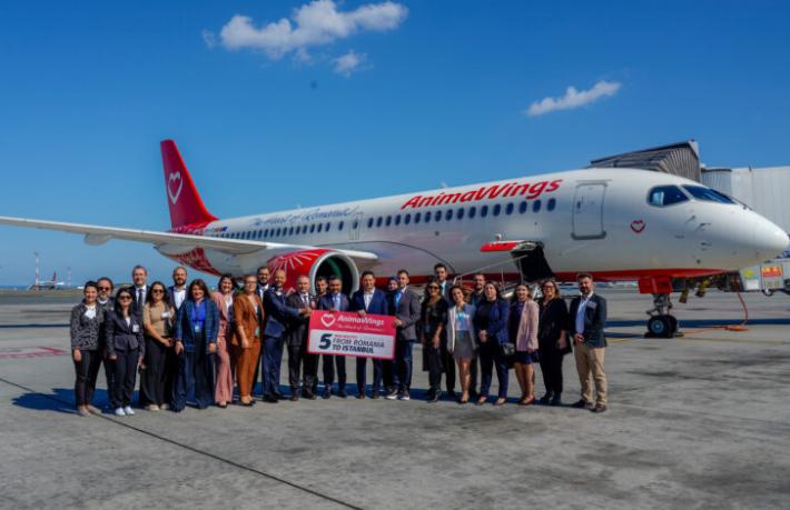 Animawings Havayolları, 5 şehirden İstanbul’a uçacak