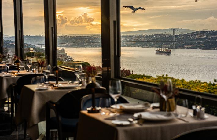 Izaka Terrace, uluslararası arenada üç prestijli ödül ile taçlandı