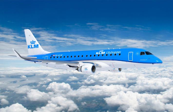 KLM uçağını tahtakuruları bastı