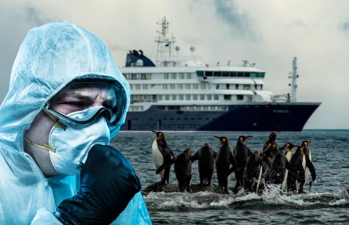 Lüks cruise gemisinde hantavirüs salgını çıktı