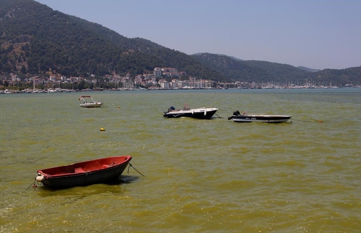 Fethiye Körfezi'ndeki kirlilik TBMM gündemine taşındı