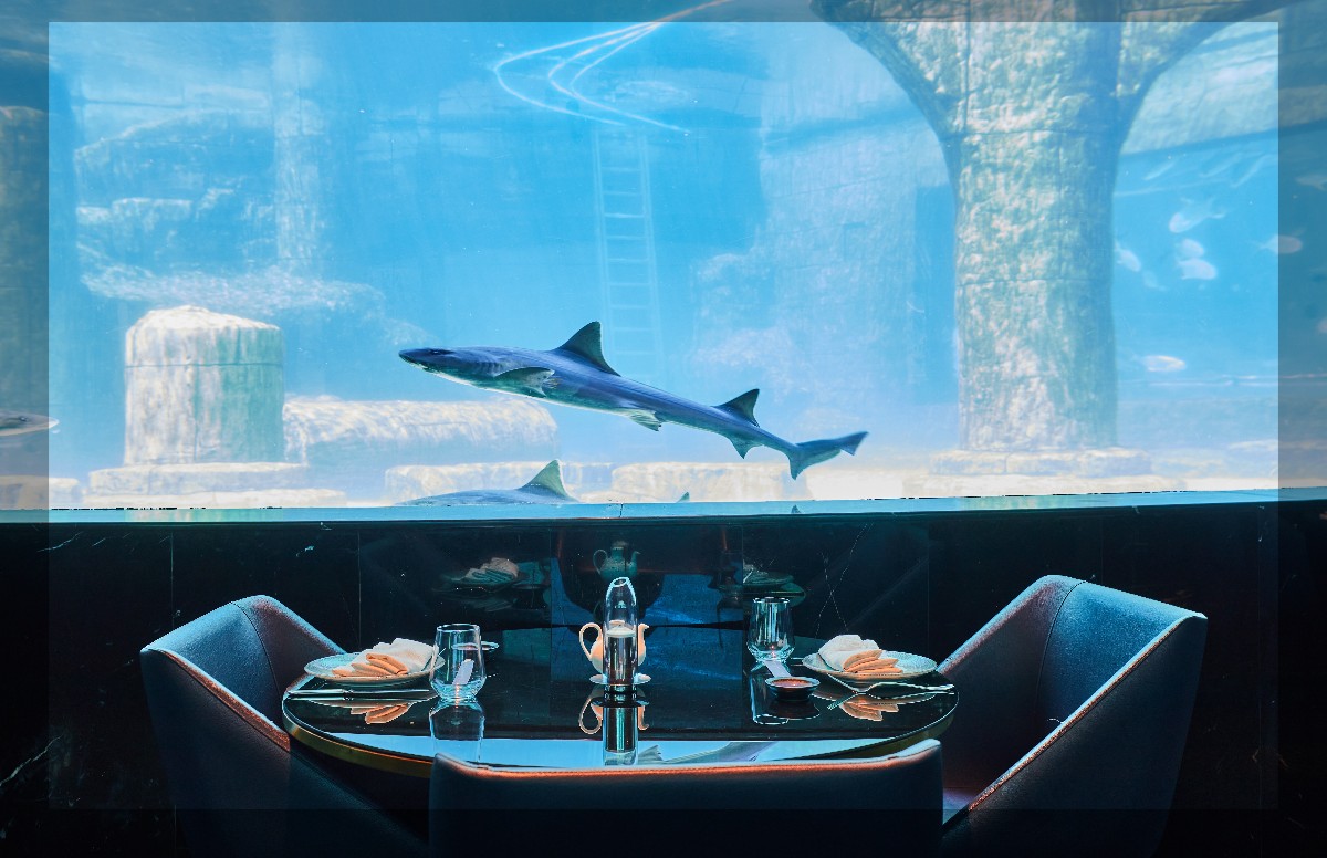 Nemo, deniz altı atmosferiyle İstanbul’da
