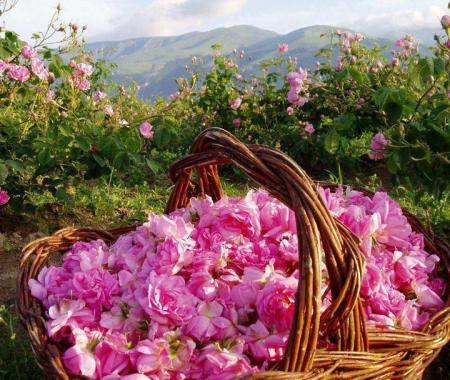  Isparta turizmde de 'Gül'ecek