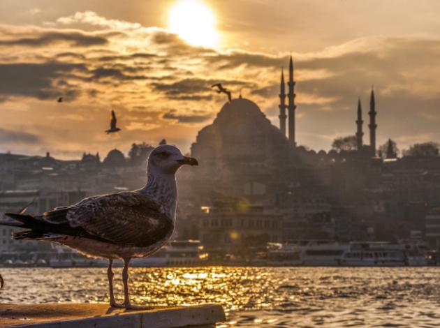 İstanbul'un 15 yılda değişen turist grafiği
