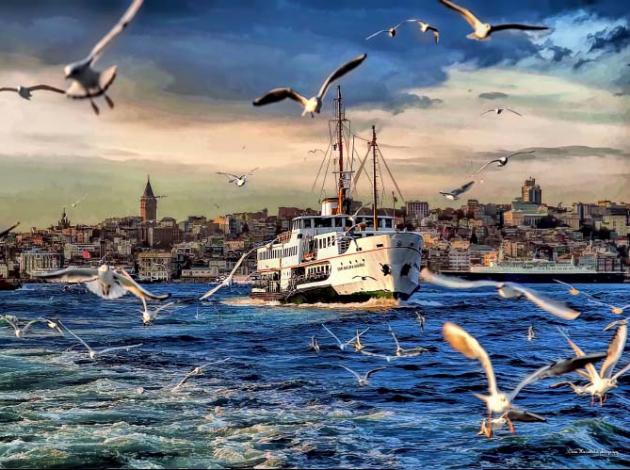 İstanbul’da fiyat gerilemesi % 44