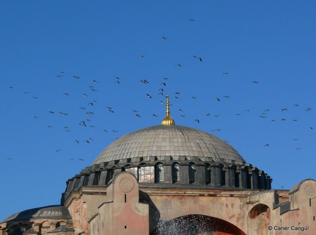 İstanbul Doğasını kaybediyor