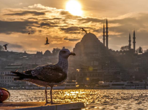 İstanbul'un 9 aylık turist karnesi