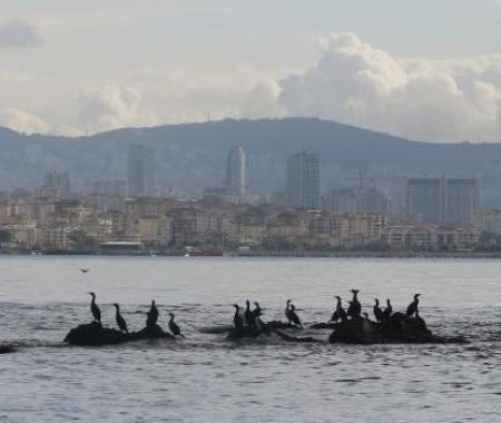 İstanbul'un "Kayıp adası" Vordonisi gün yüzüne çıkartılıyor