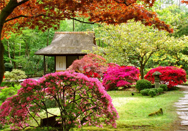 Bodrum'a, Japon Bahçeleri geliyor...