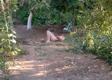 Marmaris'teki vahşette sır perdesi aralandı...