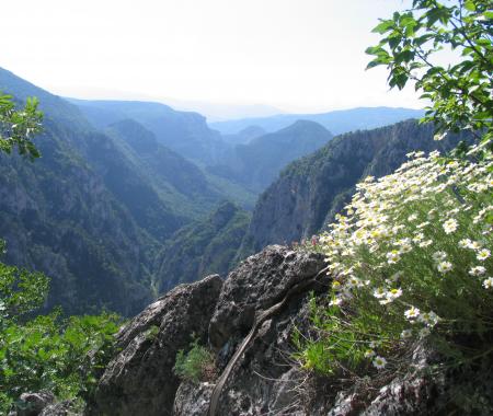 Oksijenin kalbine yolculuk 