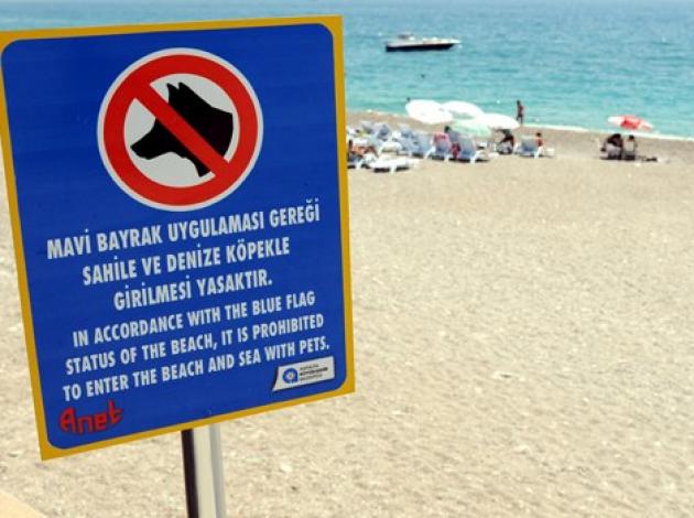 Antalya sahillerinde 'Köpek yasağı' kavgası