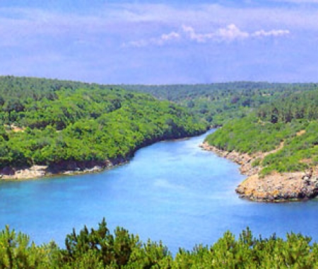Sinop’un turizmde yeni umudu rutubetli ormanları