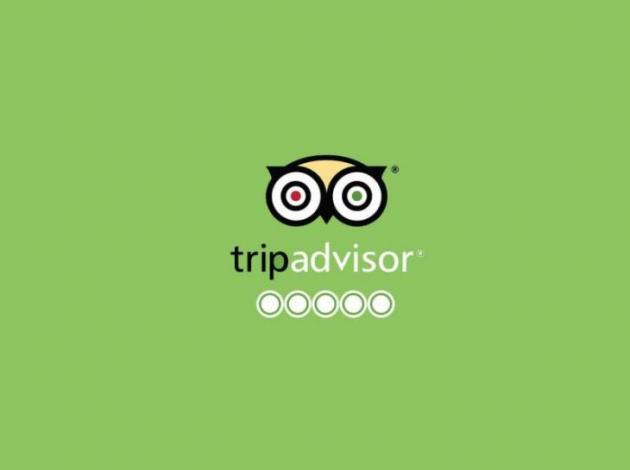 TripAdvisor oteller için neden ve nasıl bu kadar önemli?