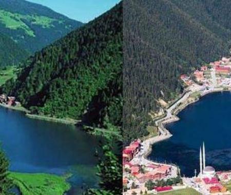 Turizm cenneti Uzungöl'de doğa katliamı