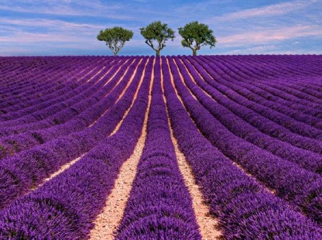 Turizm 'Mor'a boyandı