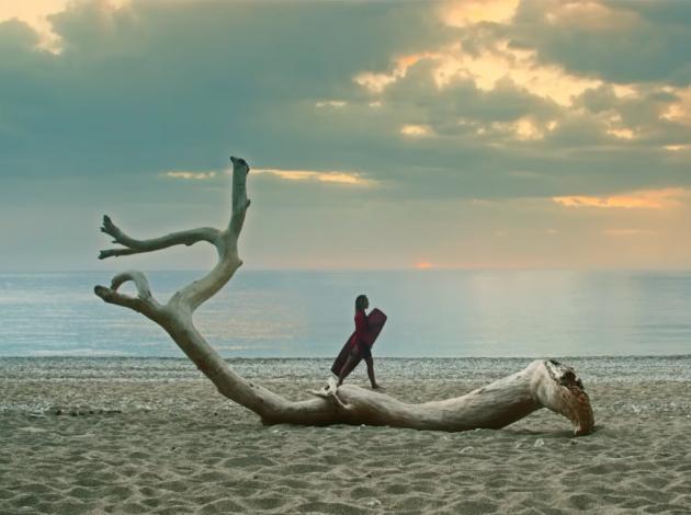 Bakanlığın yapamadığı tanıtımı tek başına yaptı