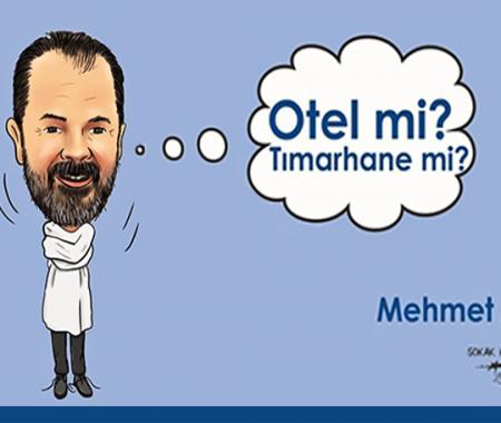 Usta turizmciden, Otel mi? Tımarhane mi? kitabı