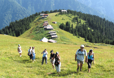 Yayla turizmi, fiyatıyla sahil turizmiyle yarışıyor...